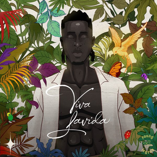 Viva Lavida by Joeboy - Album Cover