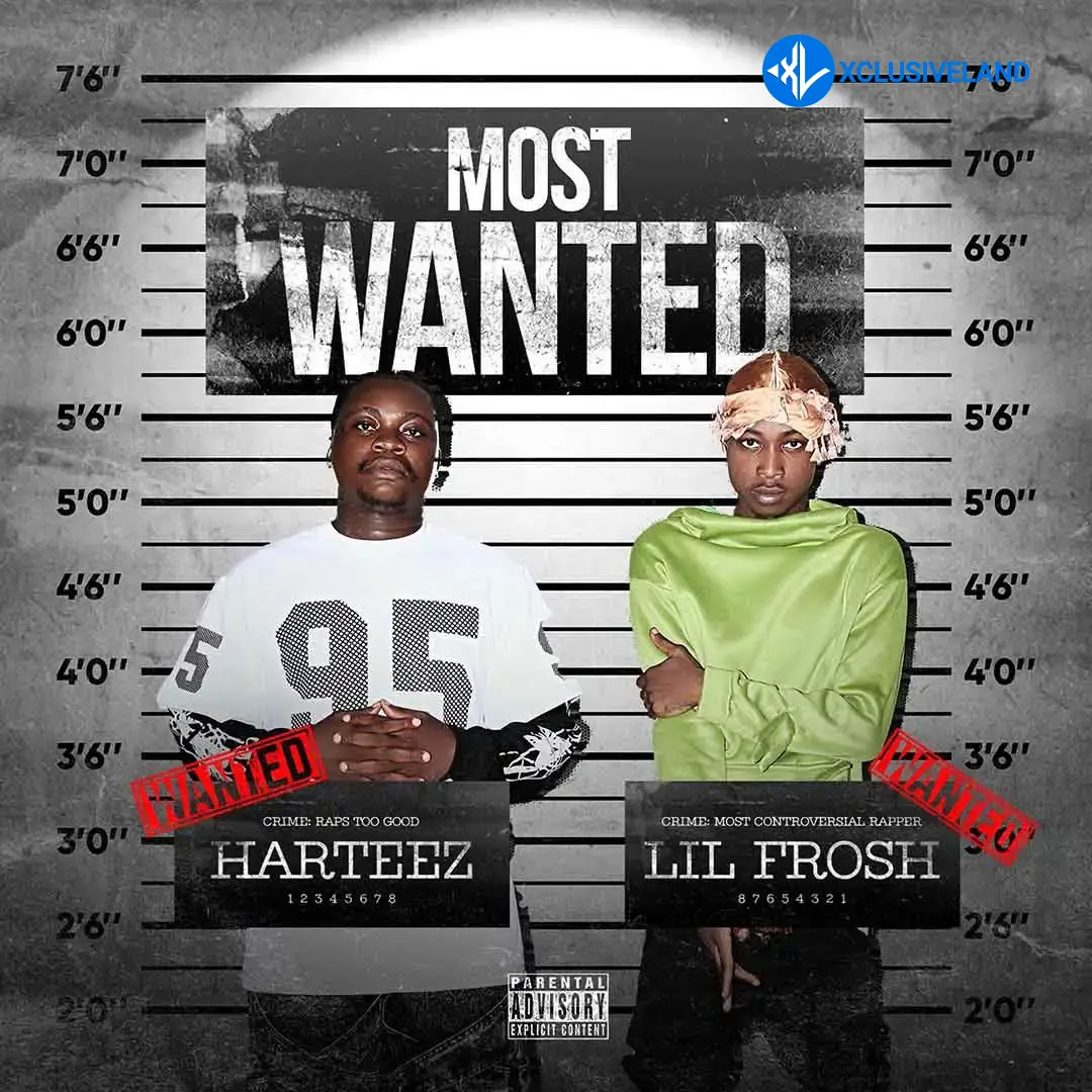 Meje Meje by Lil Frosh, Harteez