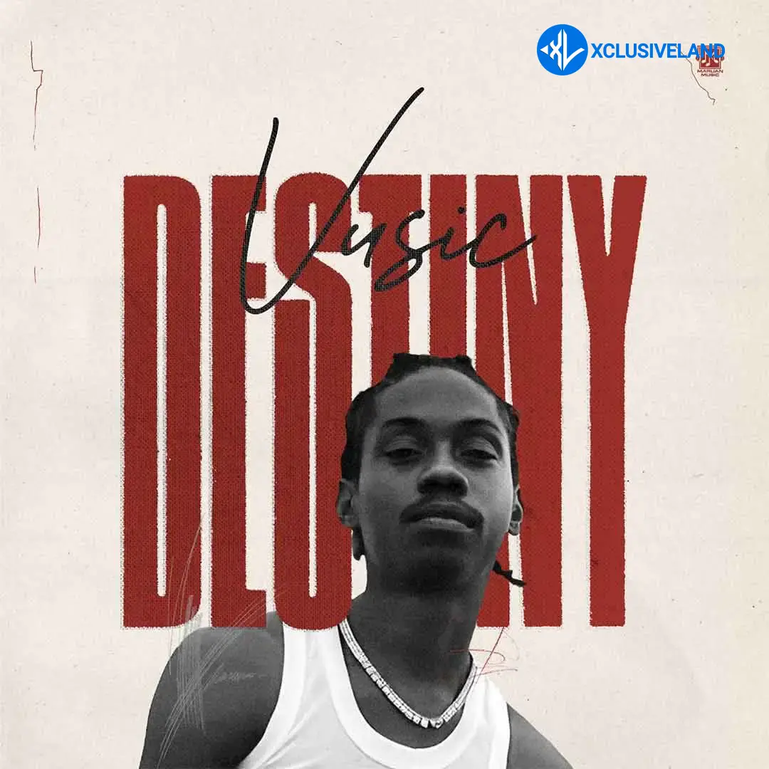 Destiny by Vusic
