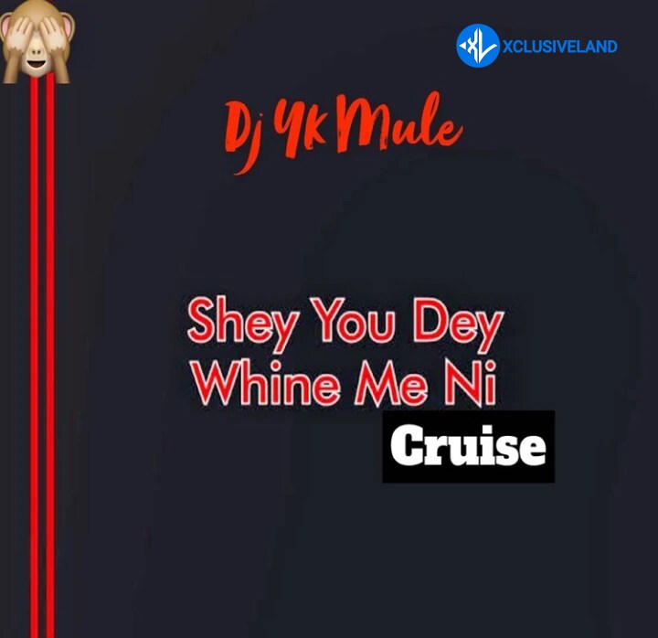 Shey You Dey Whine Ni (Cruise)