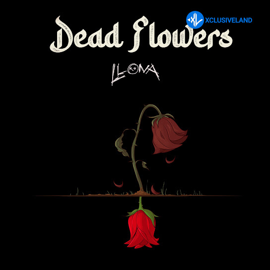 Dead Flowers by Llona