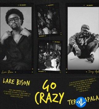 Go Crazy by Terry Apala, Lare Bison