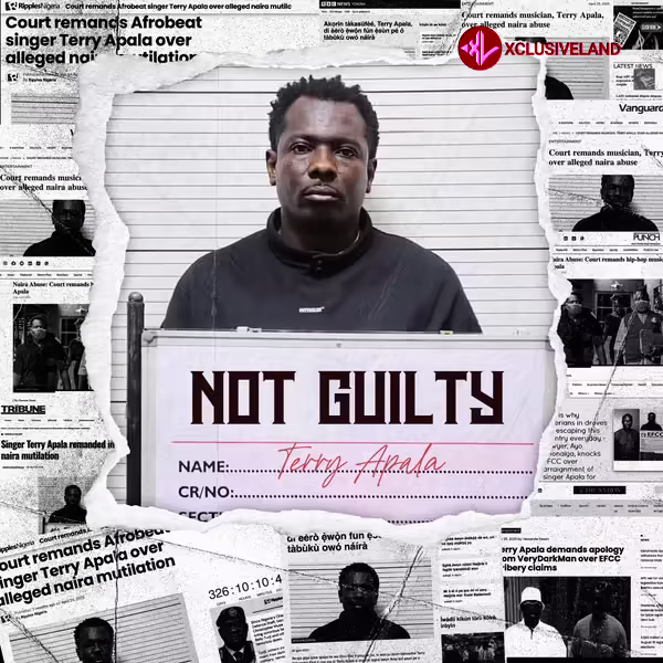 Echoes Of Pain by Terry Apala