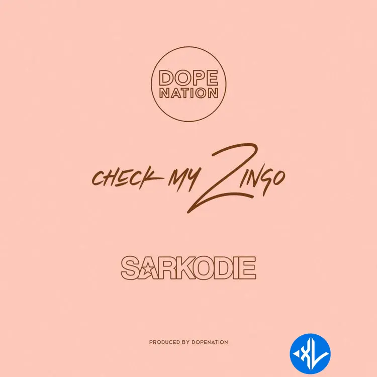 Check My Zingo (Remix)