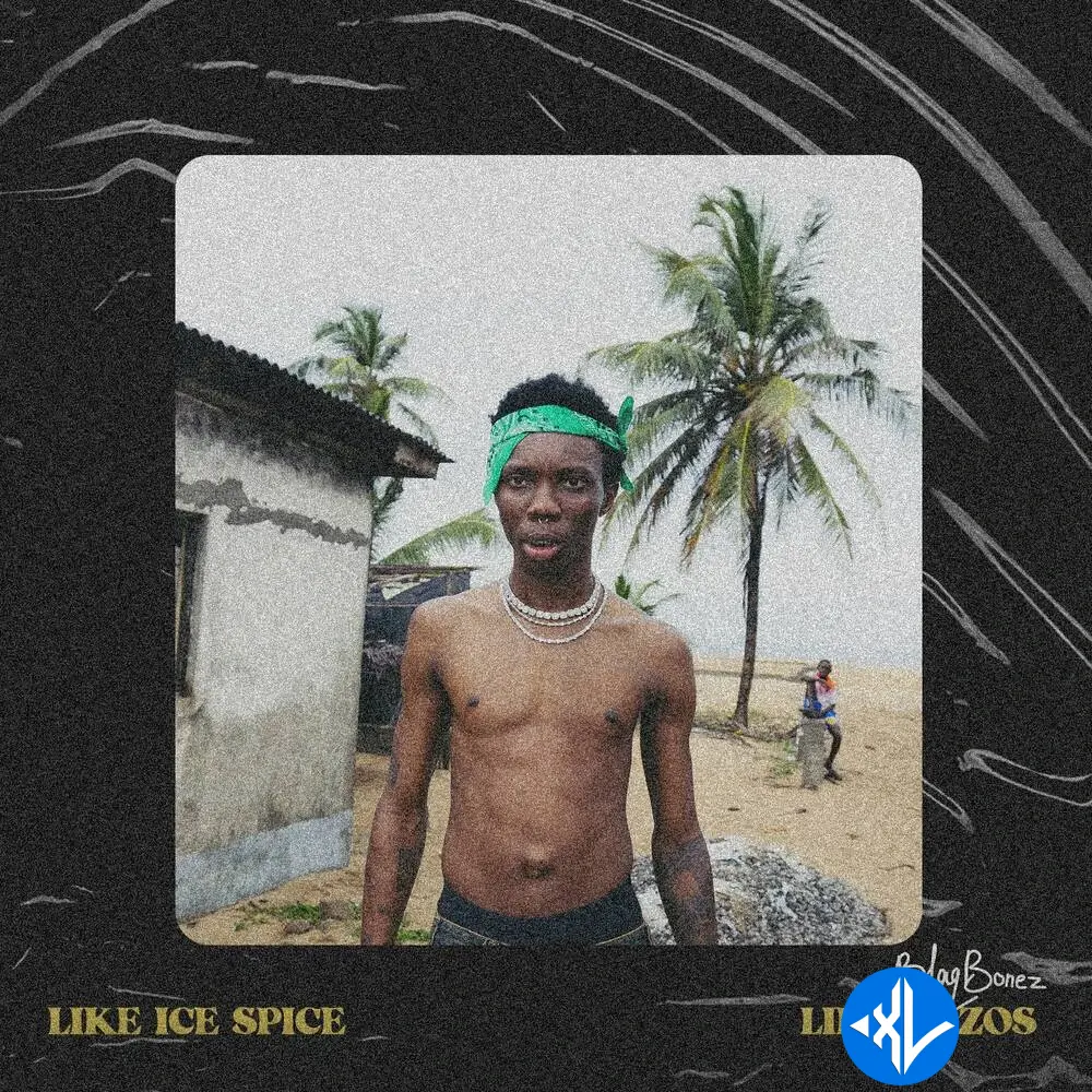 Like Ice Spice by Blaqbonez