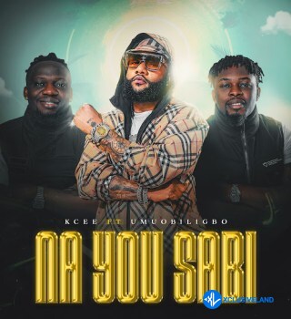 Na You Sabi