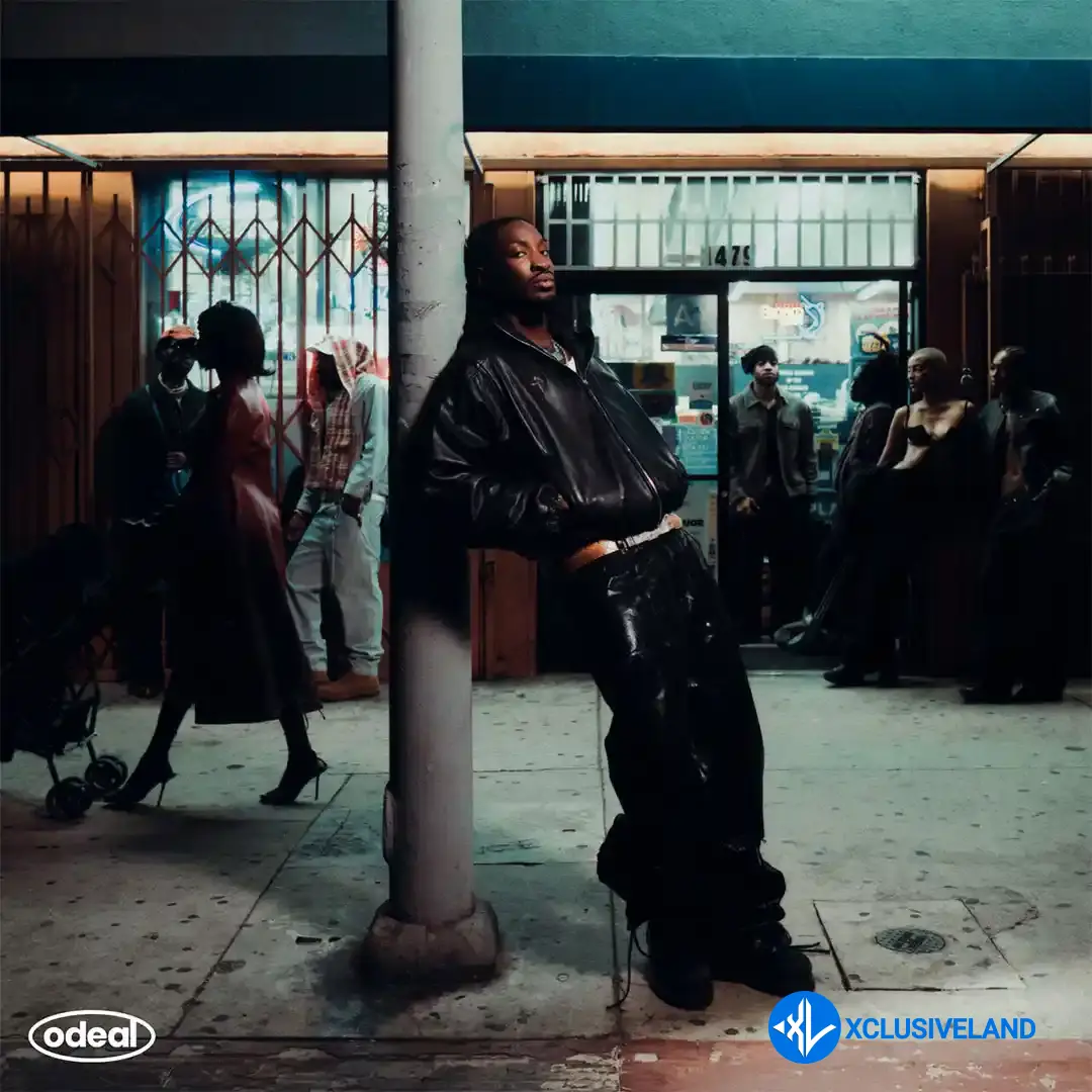 Nights In The Sun by Odeal, Wizkid