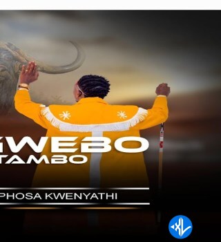 Niphathane kahle by Sgwebo Sentambo, Mjolisi