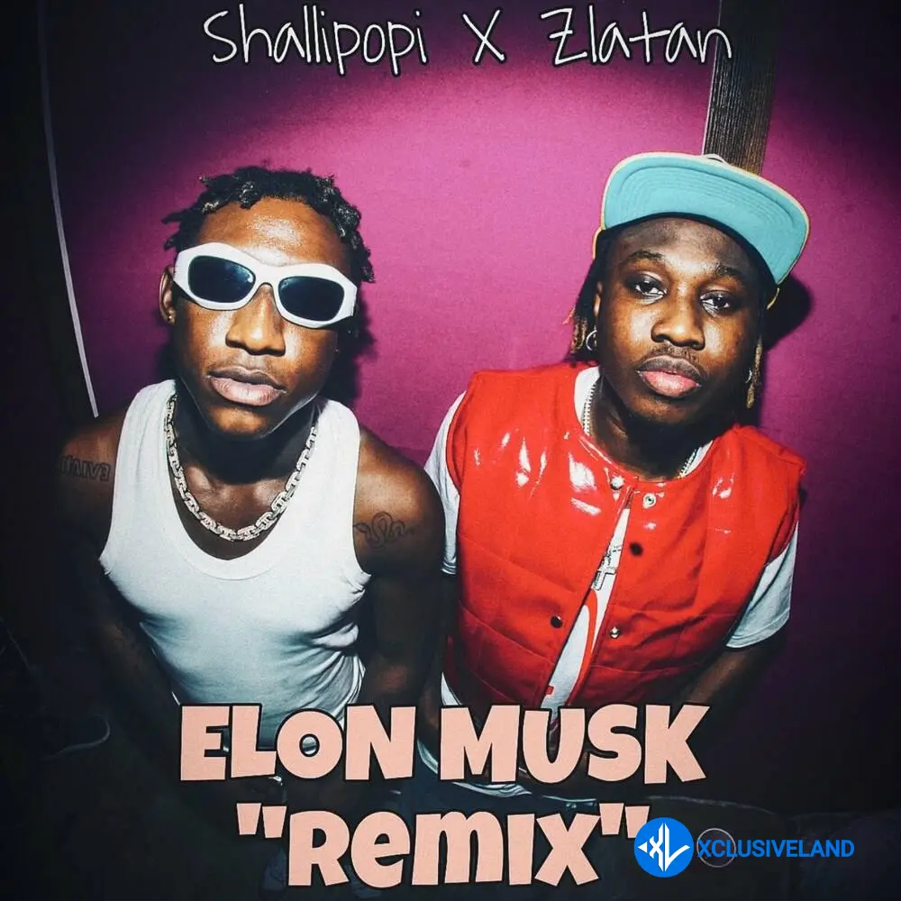 Elon Musk (Remix) by Zlatan, Shallipopi