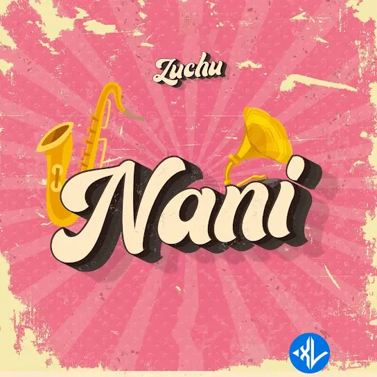 Nani by Zuchu