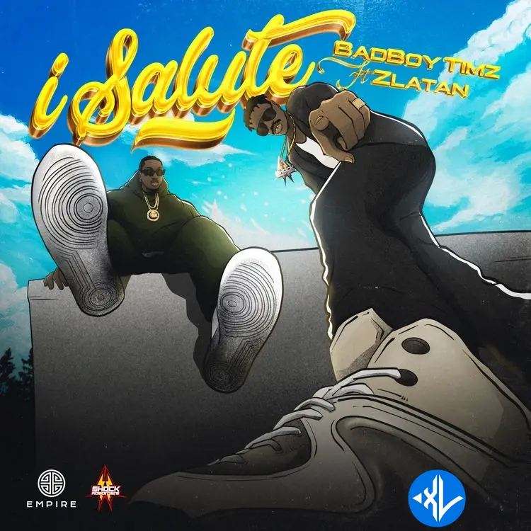 I Salute by Zlatan, Bad Boy Timz