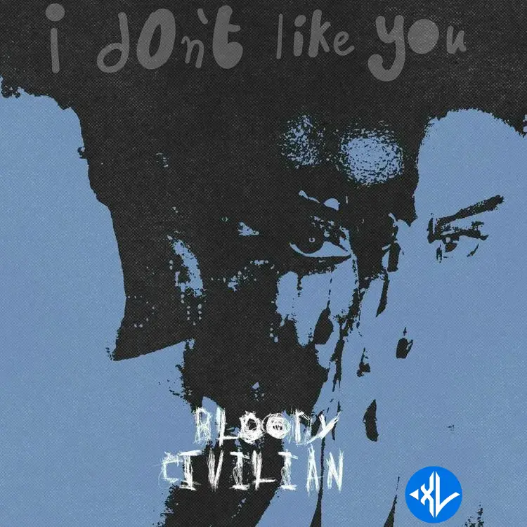 I Don’t Like You by Bloody Civilian