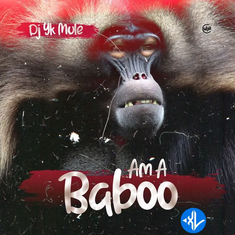 Am A Baboo by Dj Yk Mule