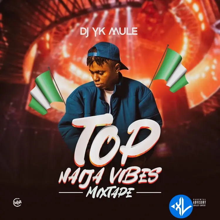 Dj Yk Mule – Top Naija Vibes (Mixtape) - Playlist Cover