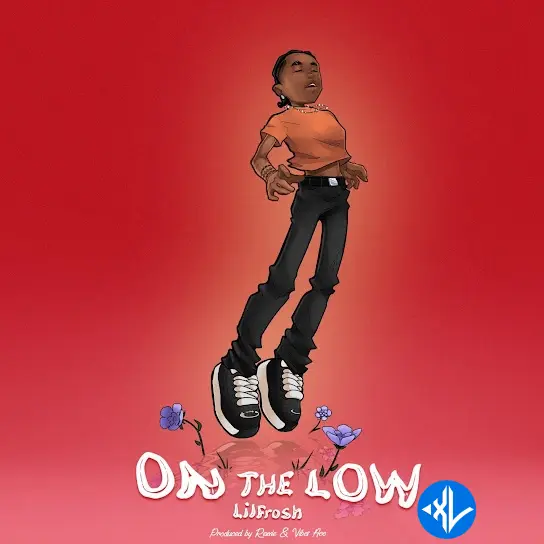 On The Low by Lil Frosh