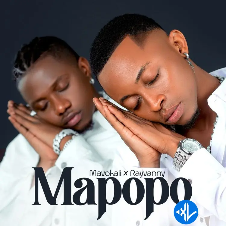 Mapopo (Remix) by Rayvanny, Mavokali