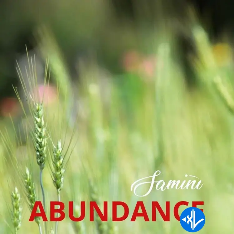 Abundance by Samini
