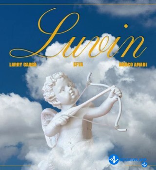 Luvin by Larry Gaaga